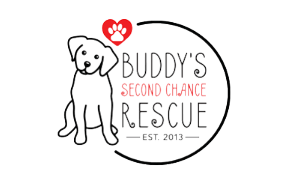 Buddys Rescue