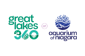 Great Lakes 360